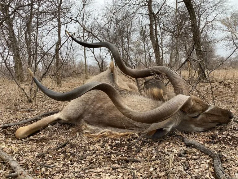 Package 2 – The Outfitter’s Choice